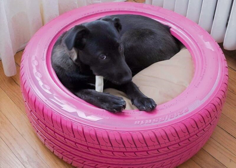 Tyre upcycled into a dog bed
