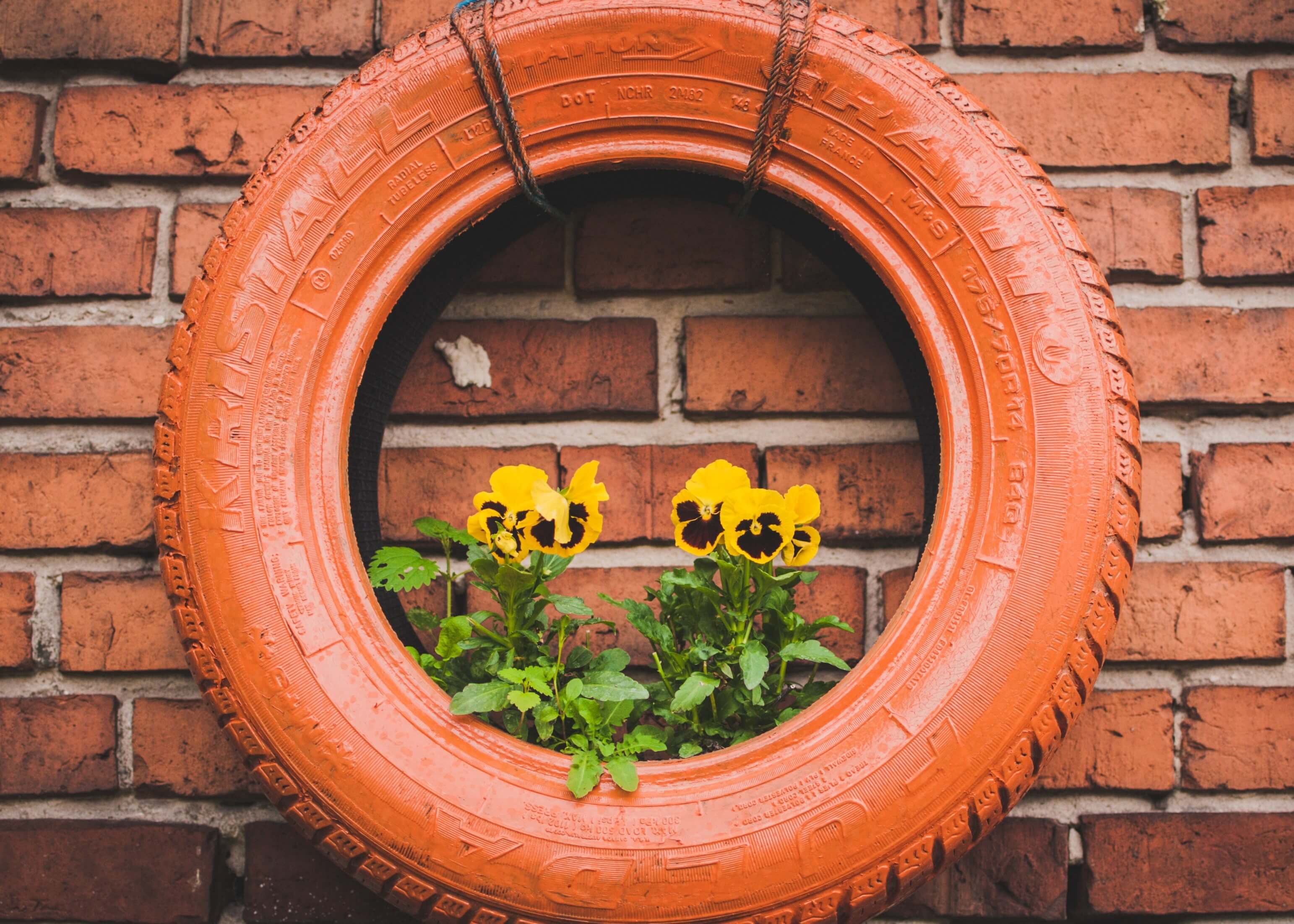 Tyre upcycles into planter 